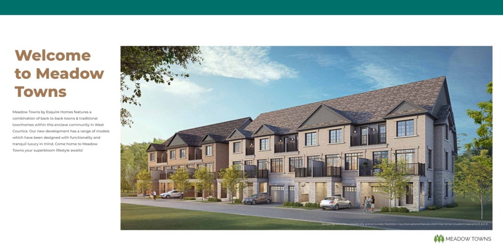 Meadow Towns 