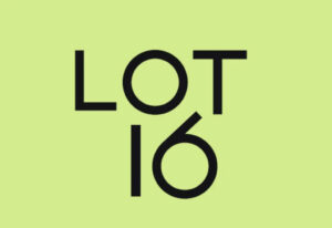 Lot 16 Towns logo