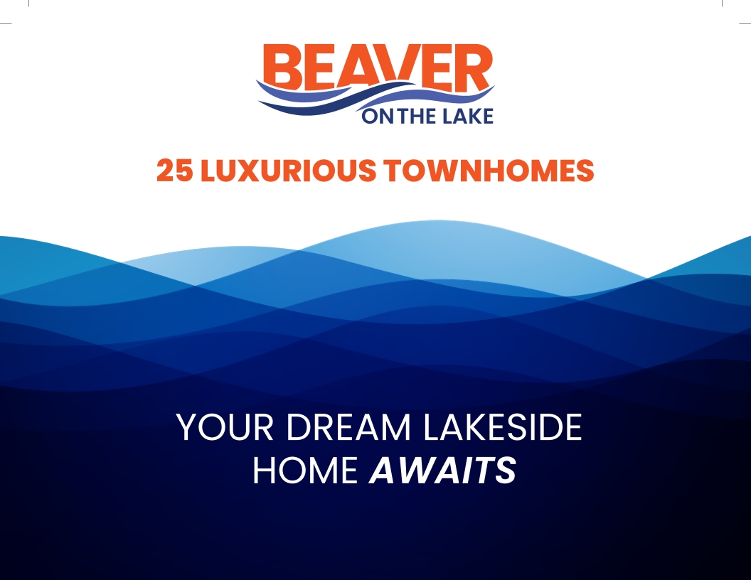 Beaver on the lake

