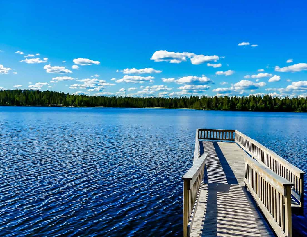 Beaver on the lake

