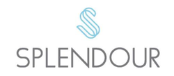Splendour Towns logo