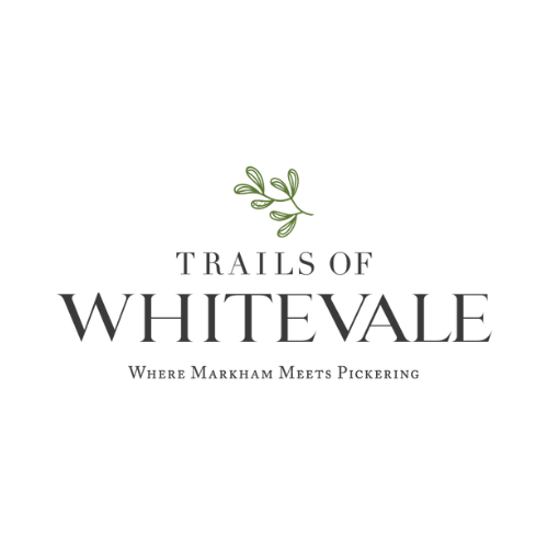 Trails of Whitevale Towns