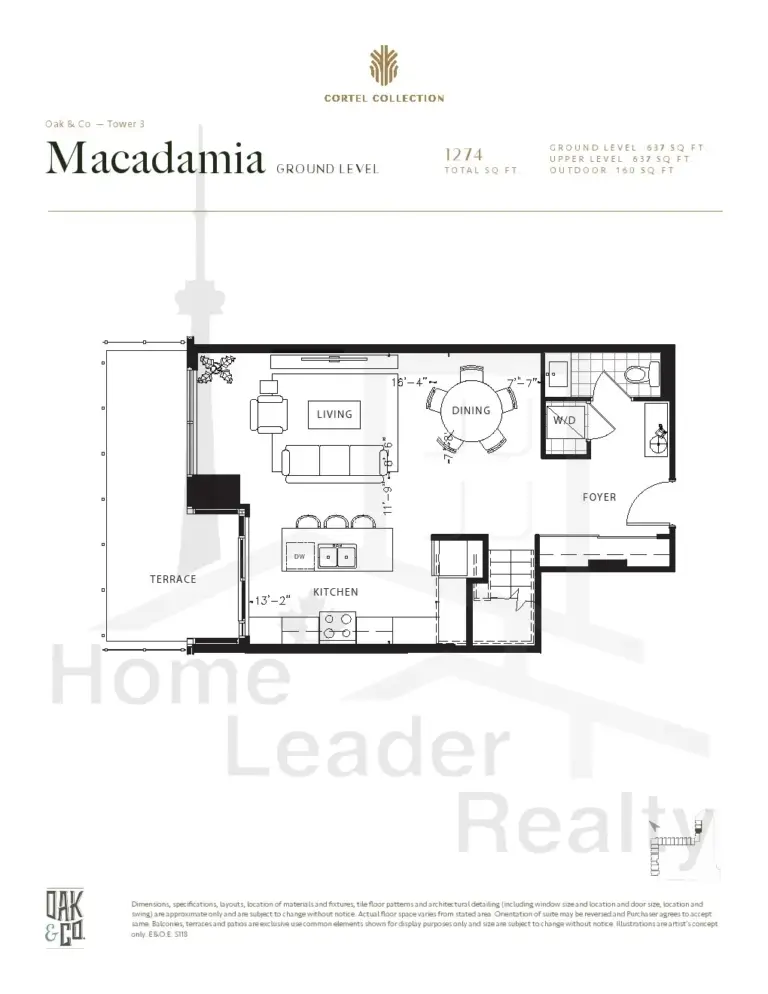 macadamia Macadamia