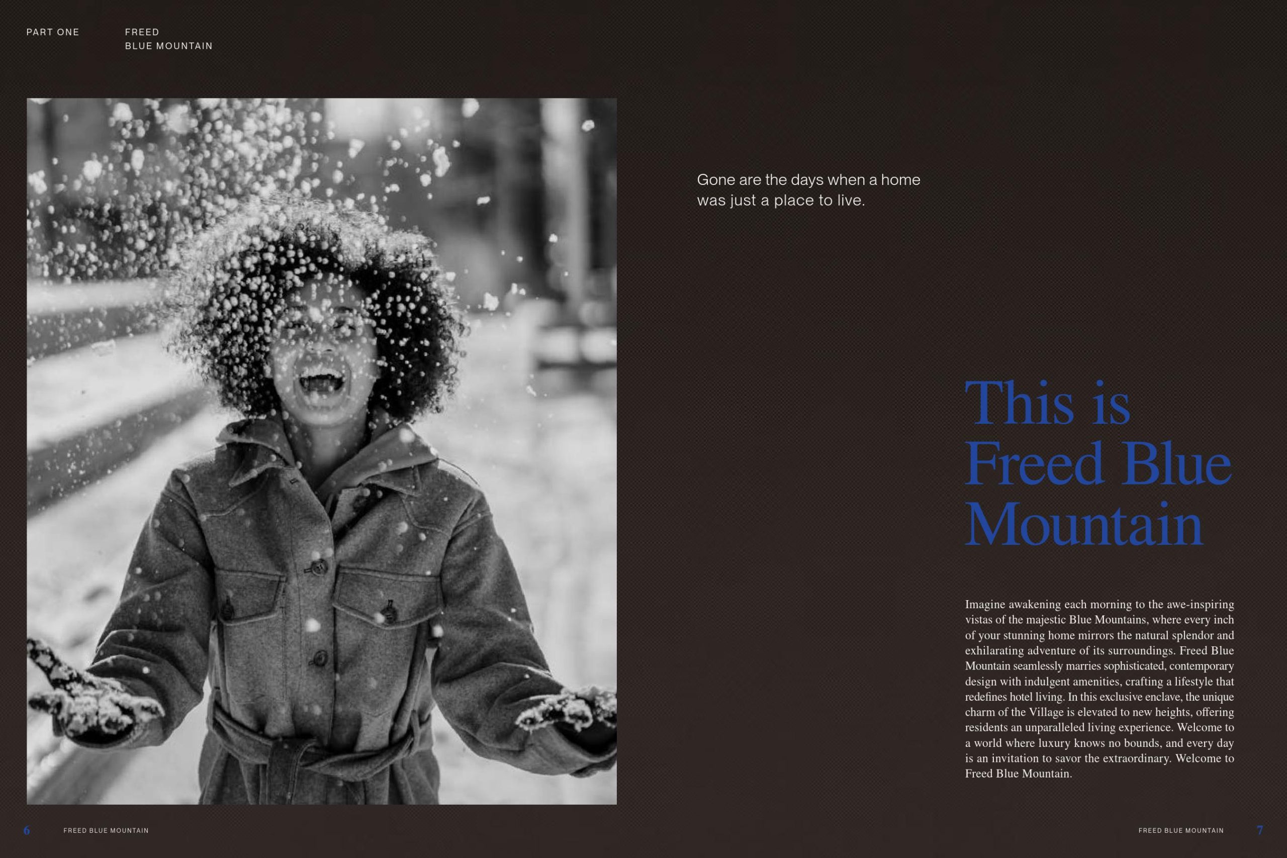 Freed Blue Mountain Brochure 02