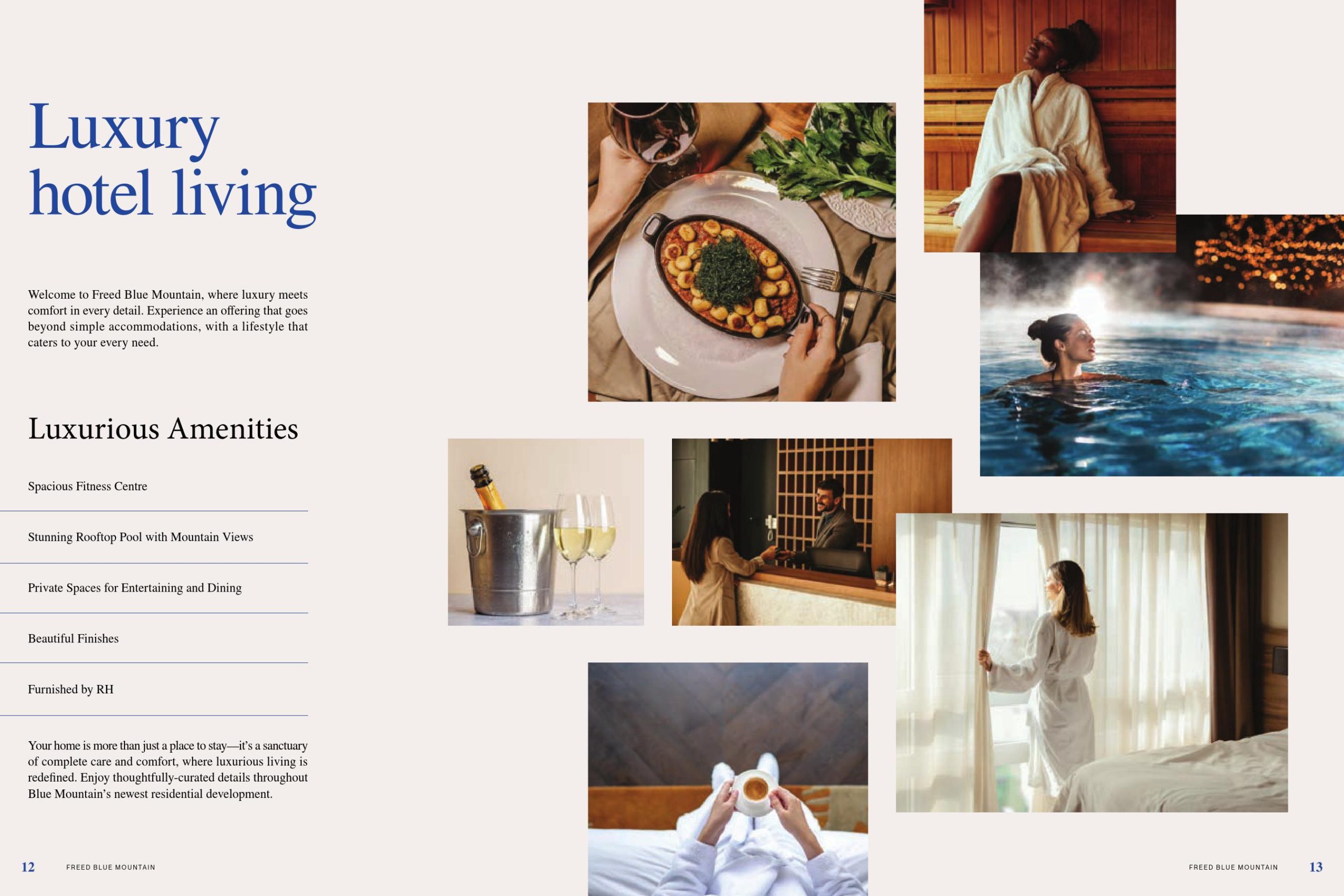 Freed Blue Mountain Brochure 05