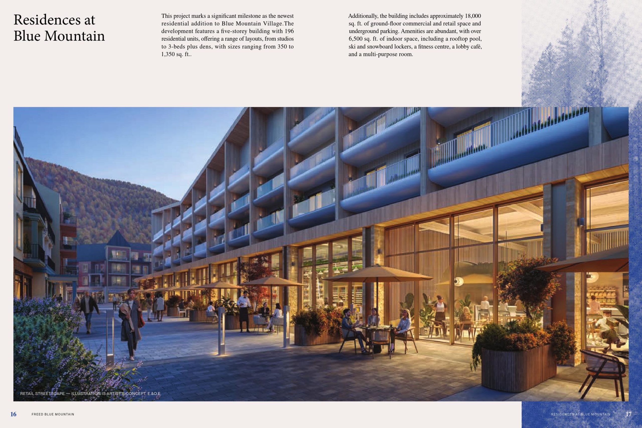 Freed Blue Mountain Brochure 07