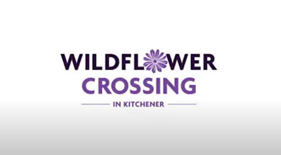 Wildflower Crossing Homes