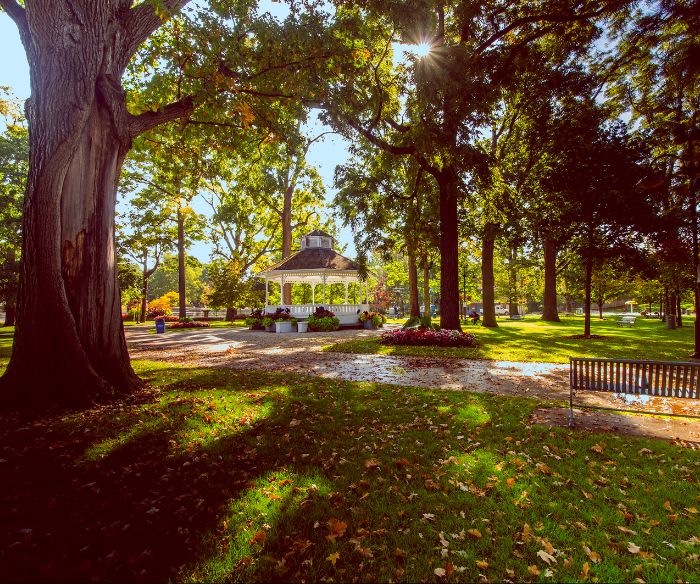 Gage Park