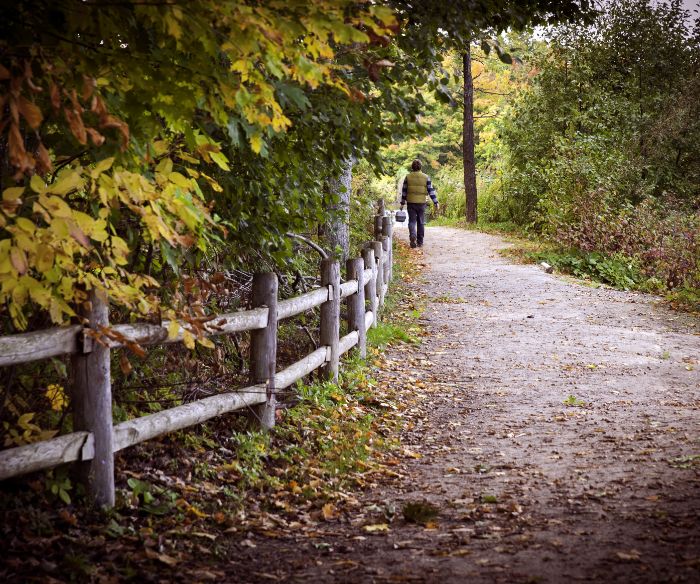 Heart Lake Conservation Area