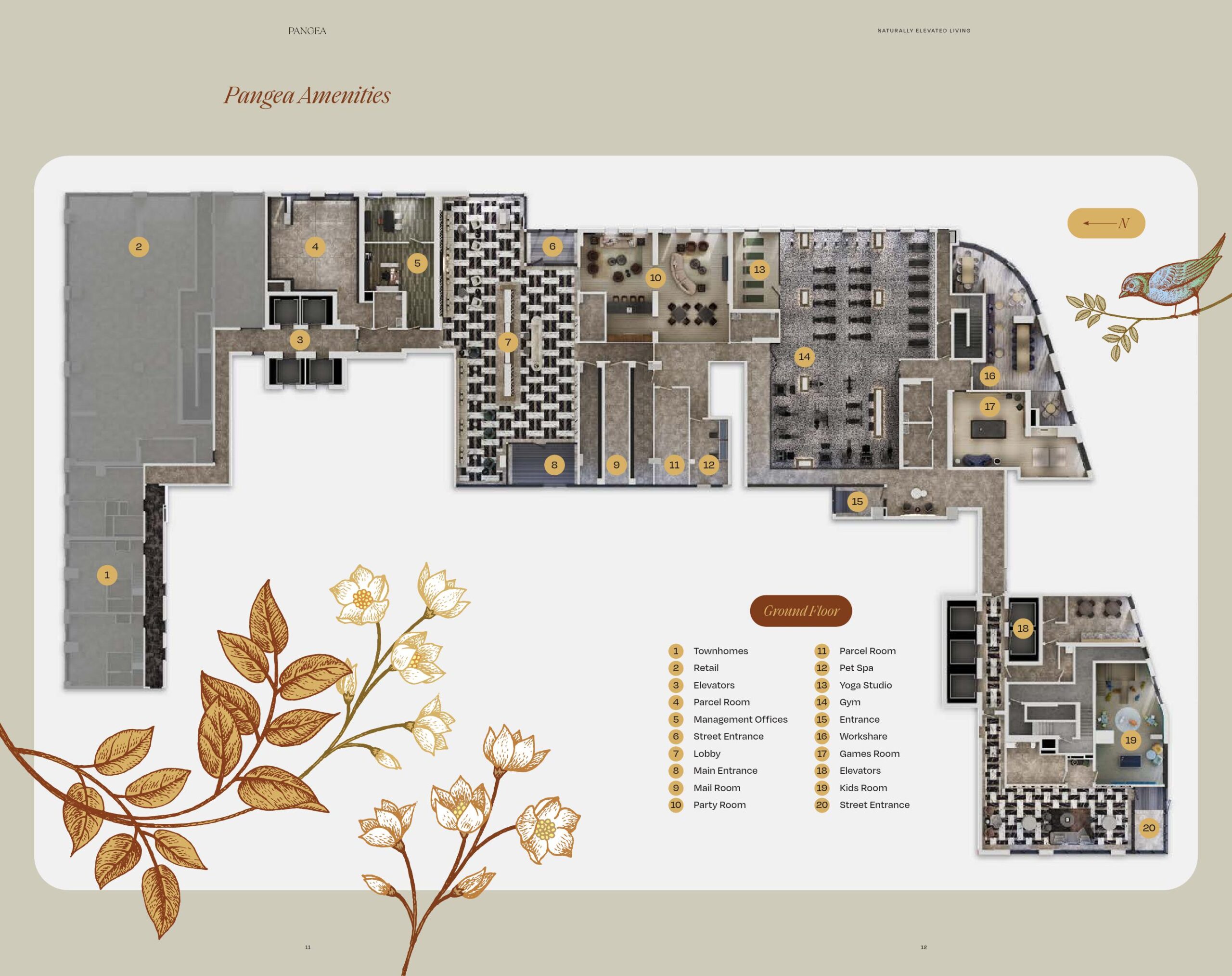 Pangea Amenities