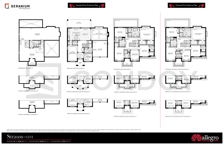Allegro-Homes-Strauss