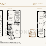 Honeystone-Towns-The-Aster-floorplan